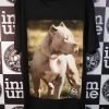Polo Pitbull